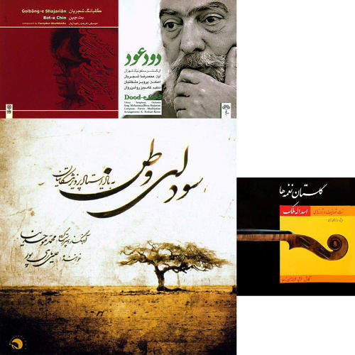 بی کلام صادق
