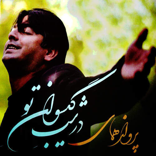 همای