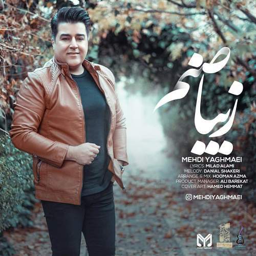 مهدی یغمایی
