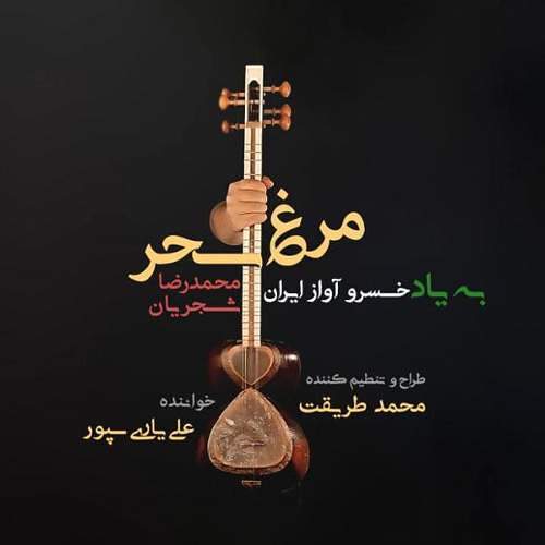 مرغ