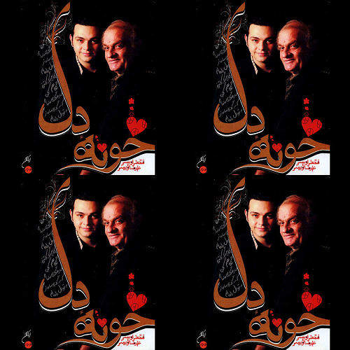 فتحعلی اویسی: خونه دل