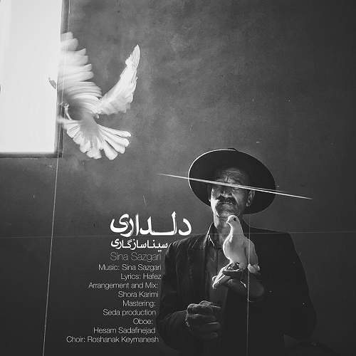 سینا سازگاری