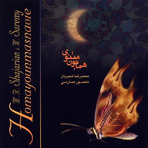 آواز تنهایی