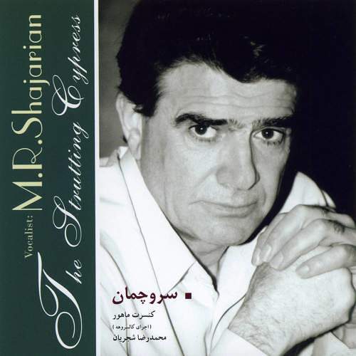 سرو چمان