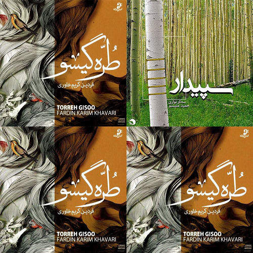 موسیقی بی کلام