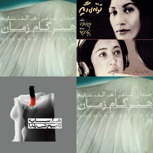 سایه استاد