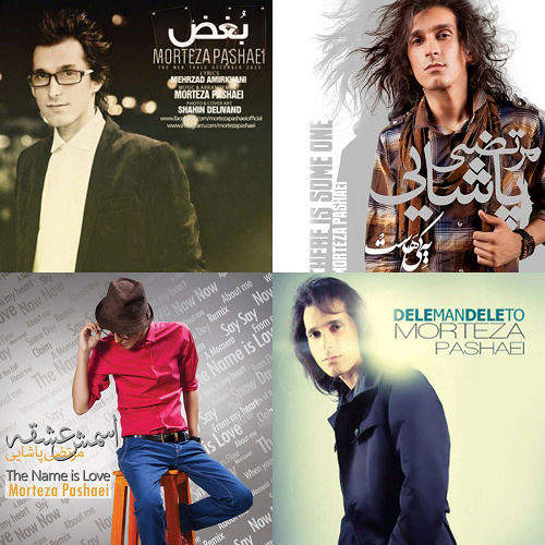مرتضی پاشایی