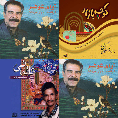 دشتی مارضایی