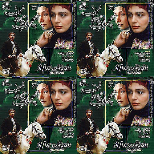 پس از باران