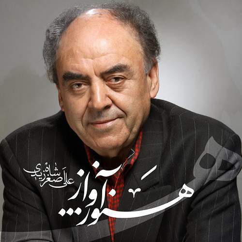 شاهزیدی