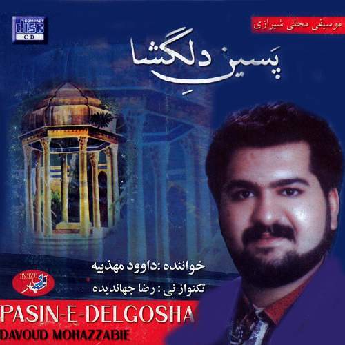 ساز واواز دشتی 2