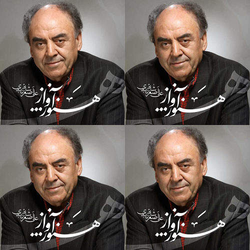 شاهزیدی