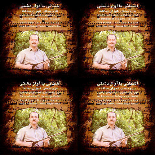 دشتی