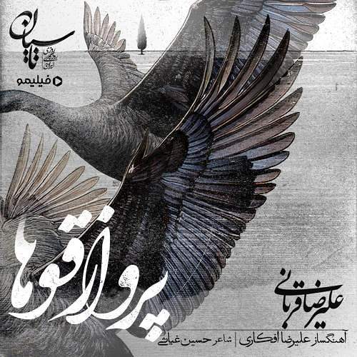 پروازقوها