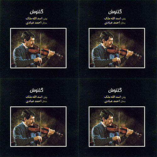 گلنوش