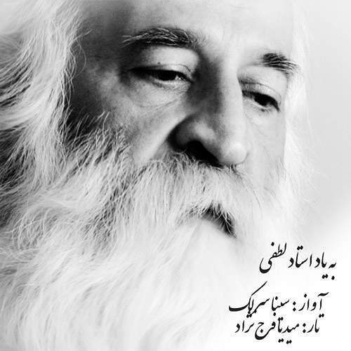 استاد لطفی