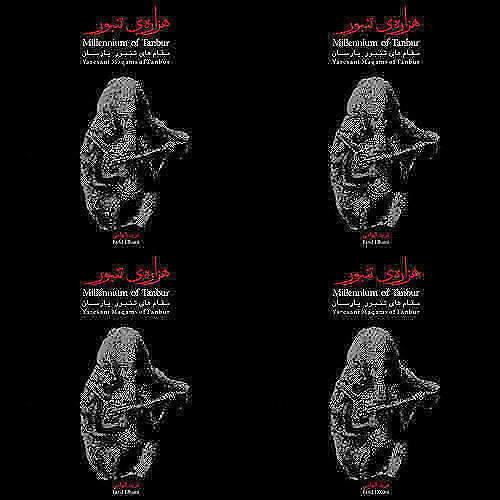 تنبور