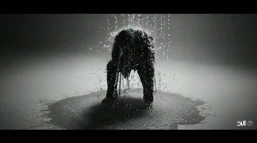 تقصیر توعه
